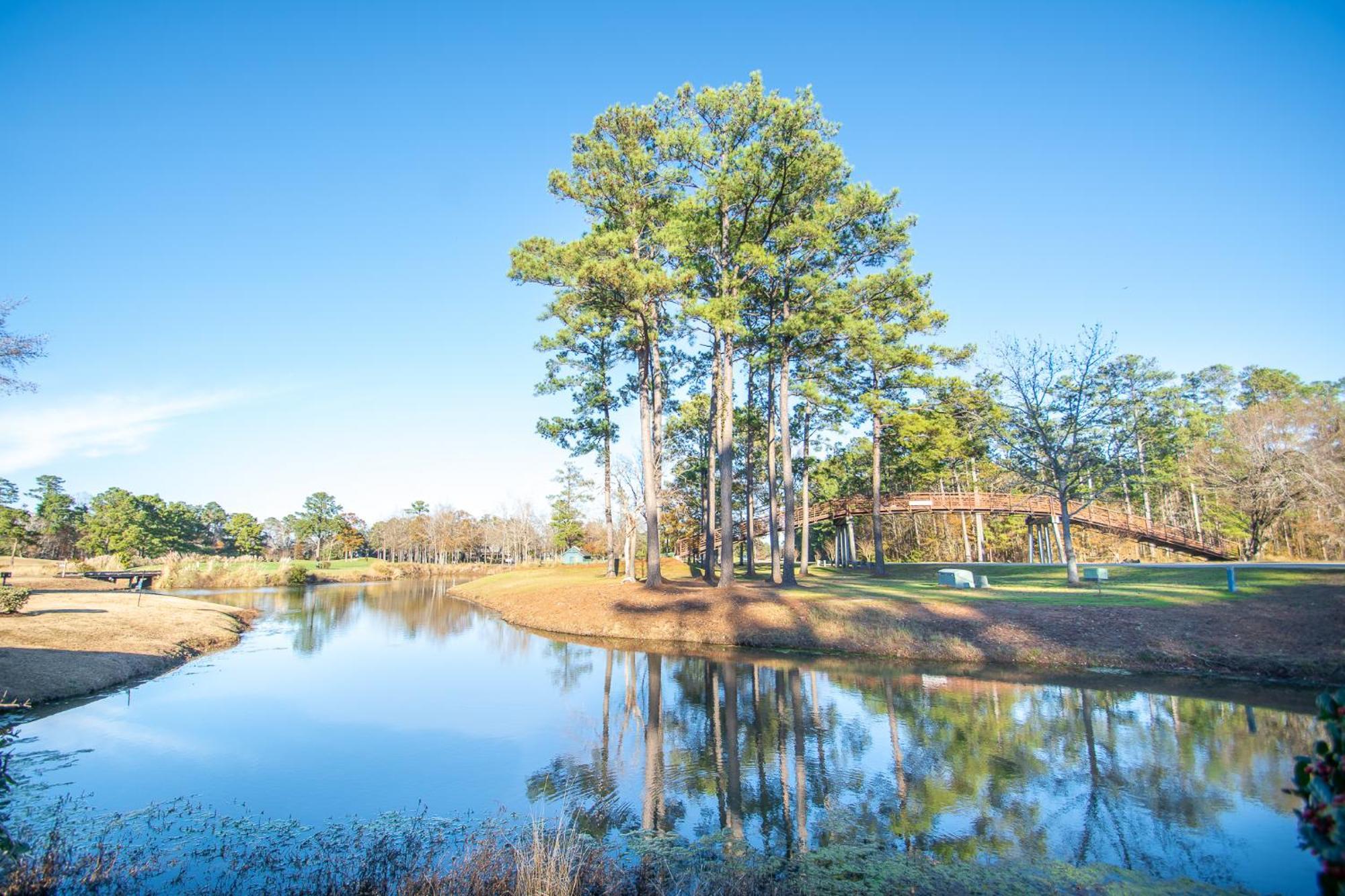 River Oaks 15-G By Palmetto Vacation Rentals Myrtle Beach Exterior foto